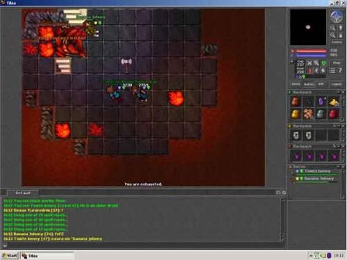 Tibia 035614,1